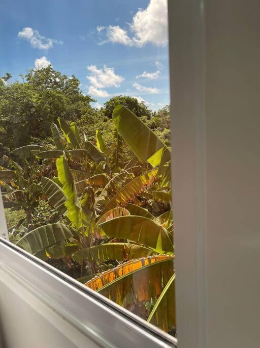 Apartment Danisha's Place Vip San Andres (San Andres and Providencia Islands)